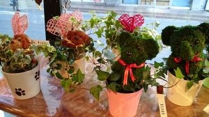 ギフト｜「花の店友楽園」　（愛知県安城市の花キューピット加盟店 花屋）のブログ